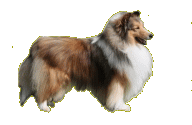 samu