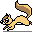 risu