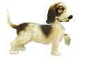 poti